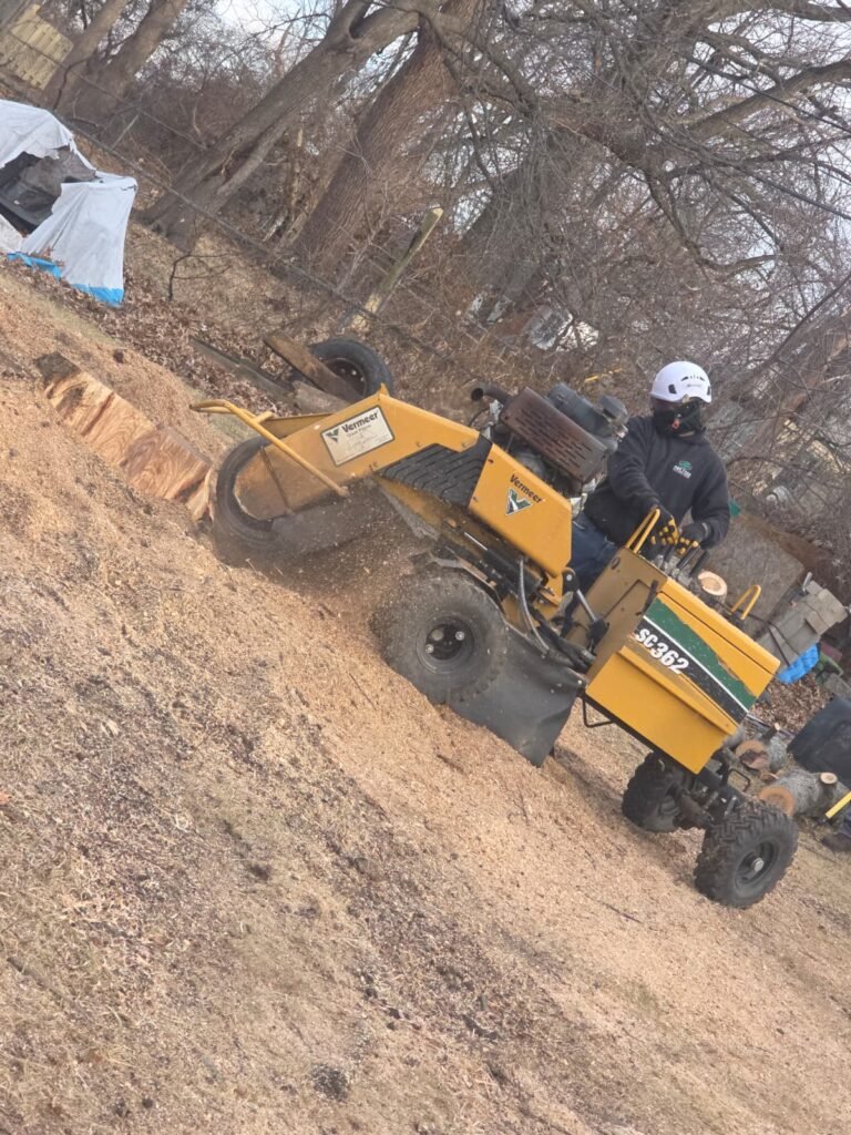 Family Tree Services LLC (20)