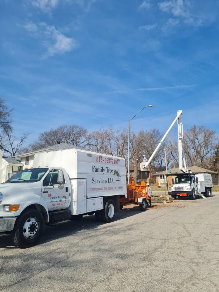 Family Tree Services LLC (22)