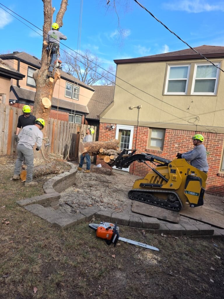 Family Tree Services LLC (5)