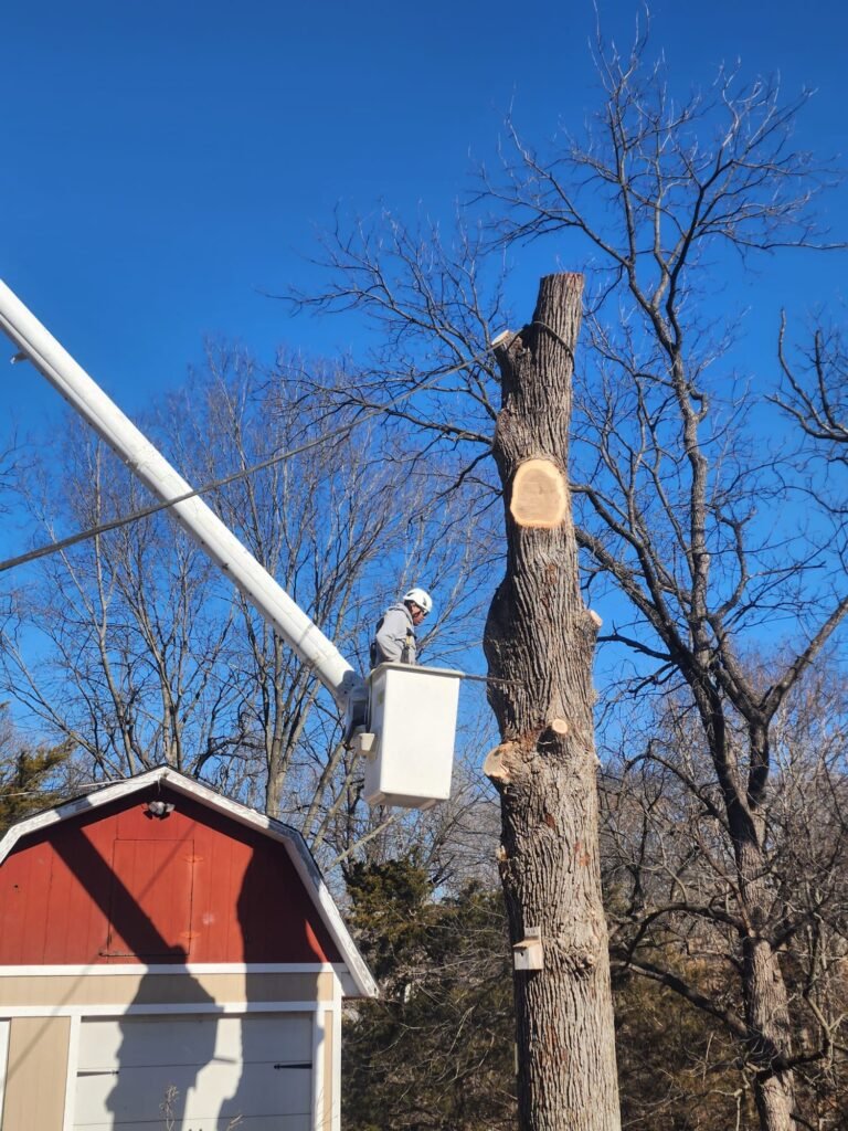 Family Tree Services Llc (141)