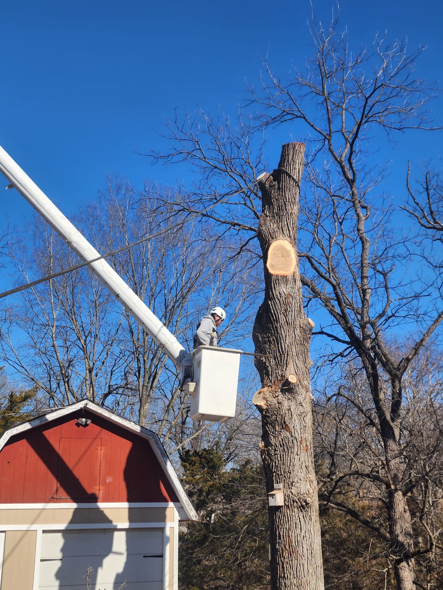 Family Tree Services Llc (141)