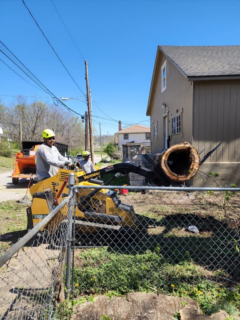 Family Tree Services Llc (191)