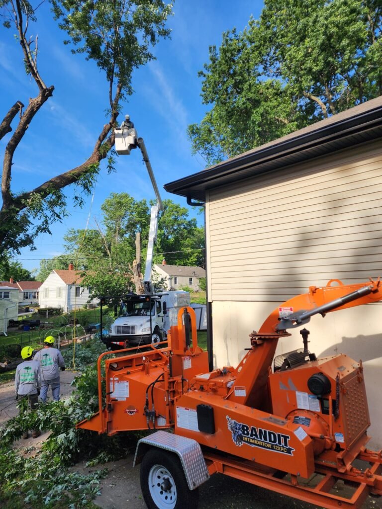 Family Tree Services Llc (202)