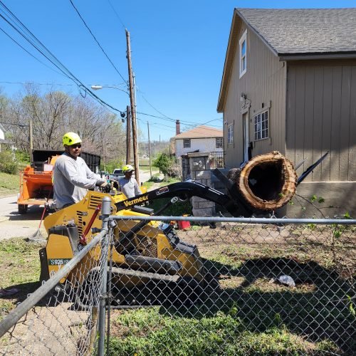 Family Tree Services Llc (191)